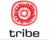 TRIBE logo