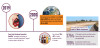 CCEP4 Sustainability report landscape v4 02